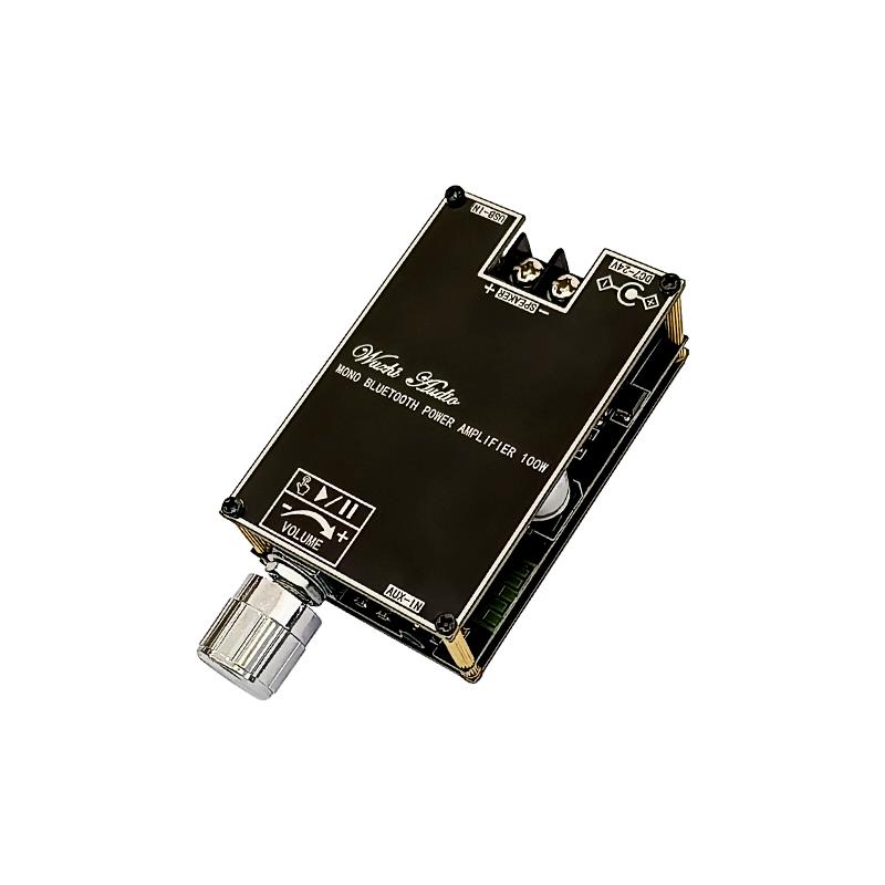 Bluetooth 5.1 TPA3116 D2 Mono  - Home Cinema Bluetooth incelemesi ve fiyatı