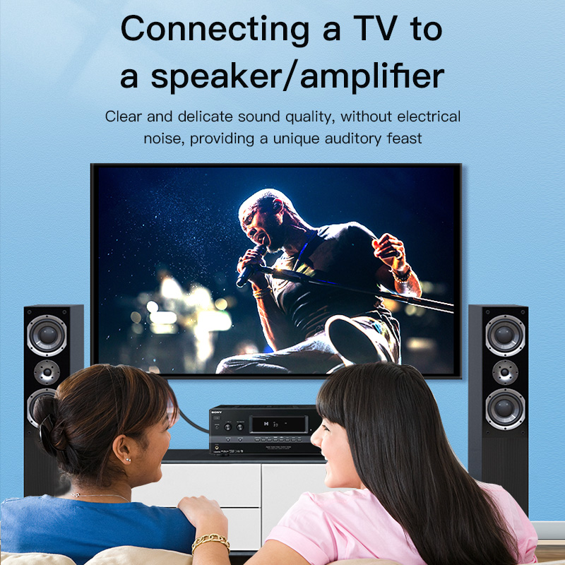 CHOSEAL RCA Kablosu Dijital Ko - Home Cinema Ampli incelemesi ve fiyatı